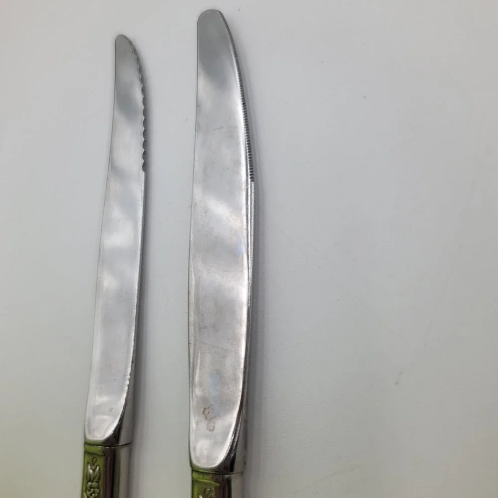 Fantasy Rose Stainless Steel Dinner Knives Floral Pattern Set of 10 Pieces